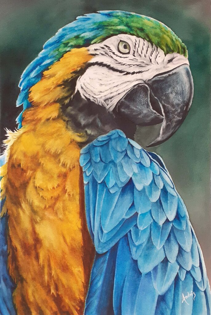 Guacamaya Azul Acuarela 