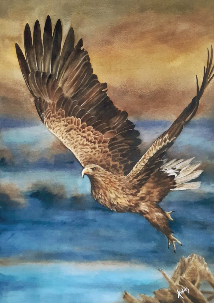 Aguila pescando 