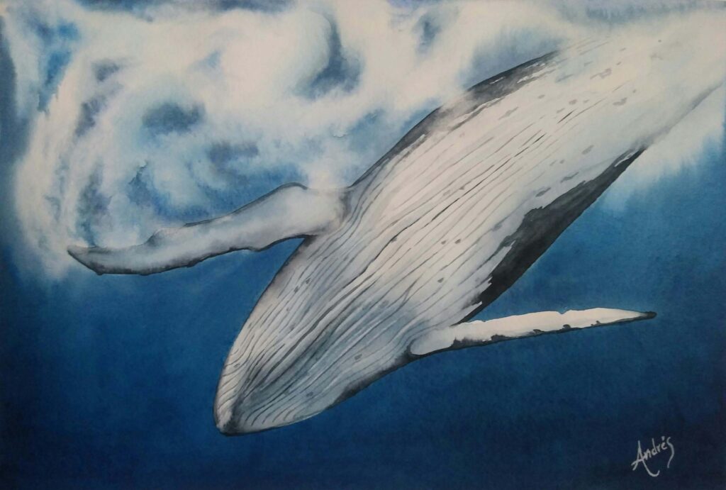 Ballena 2