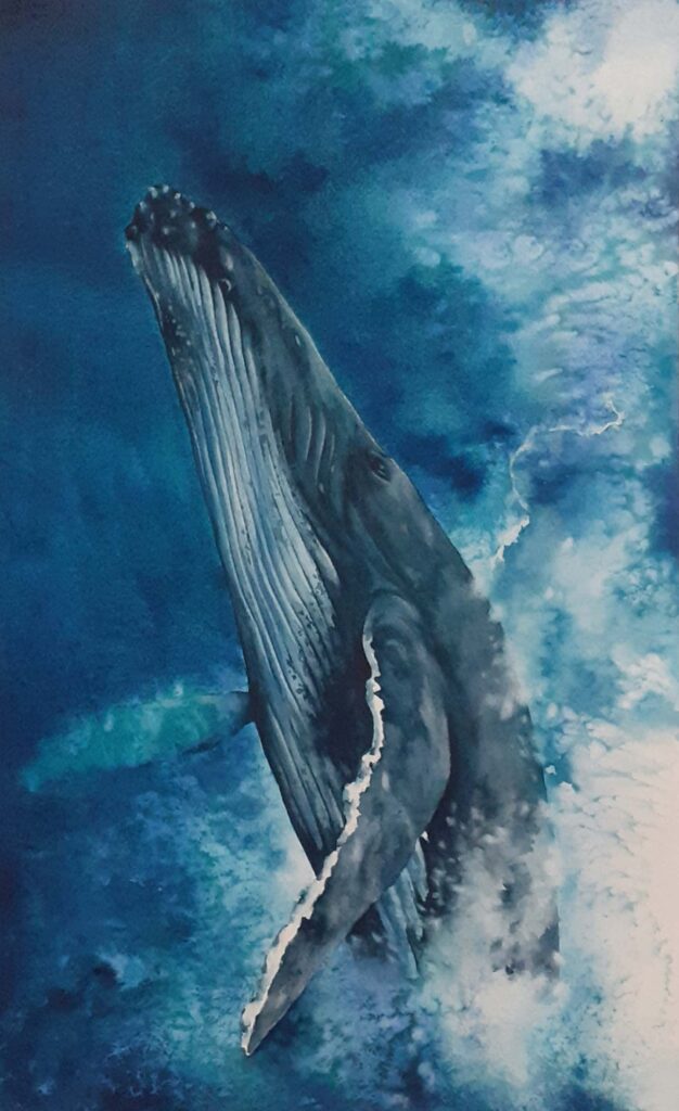 Ballena 1 en Acuarela 