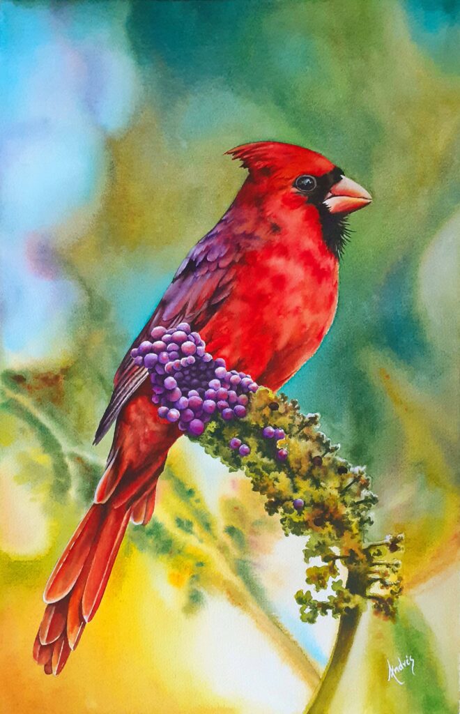 Cardenal en Acuarela 