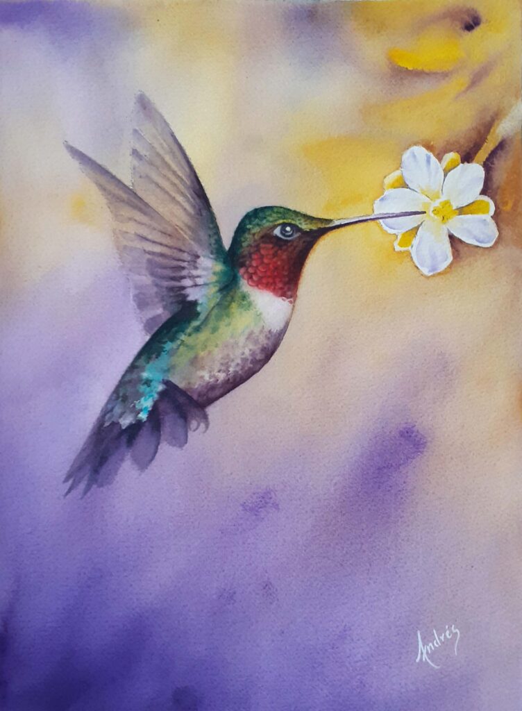 Colibri con flor Acuarela