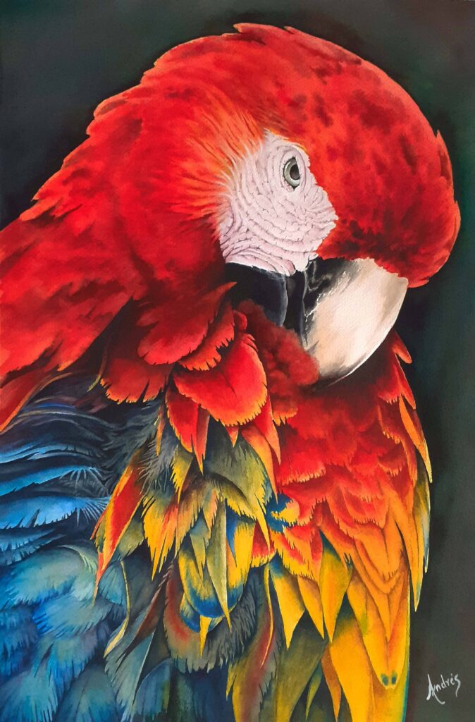 Guacamaya 2