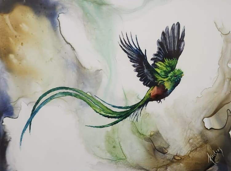Quetzal 3