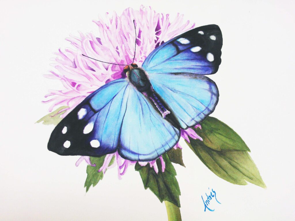 Mariposa azul en Acuarela