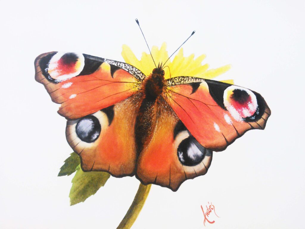 Mariposa Naranja en Acuarela