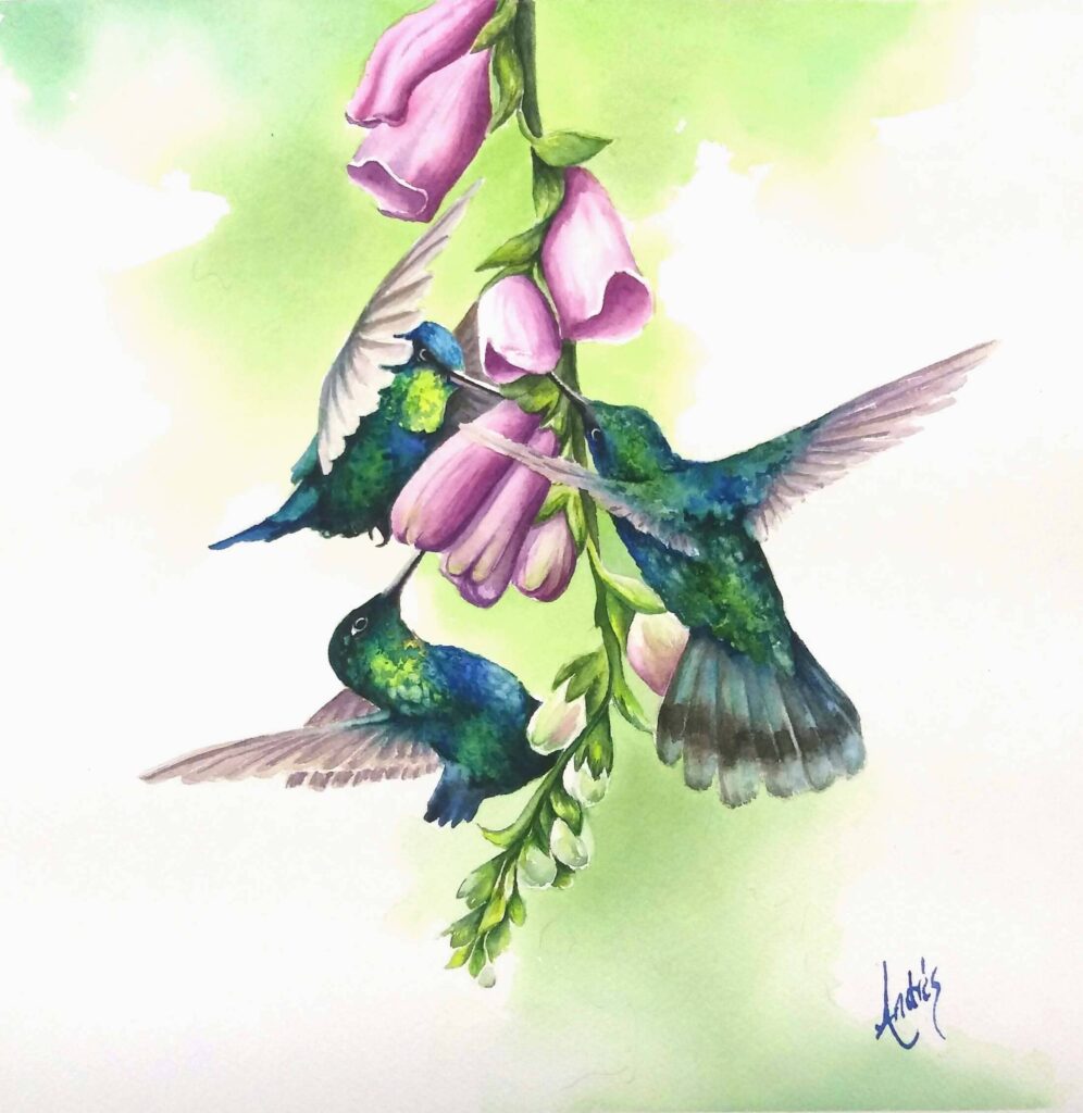 Colibris en Acuarela